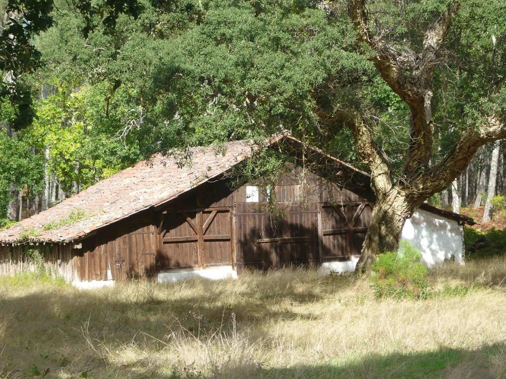 Appartements A Cote Lac Marin De Port D'Albret Vieux-Boucau-les-Bains Kültér fotó